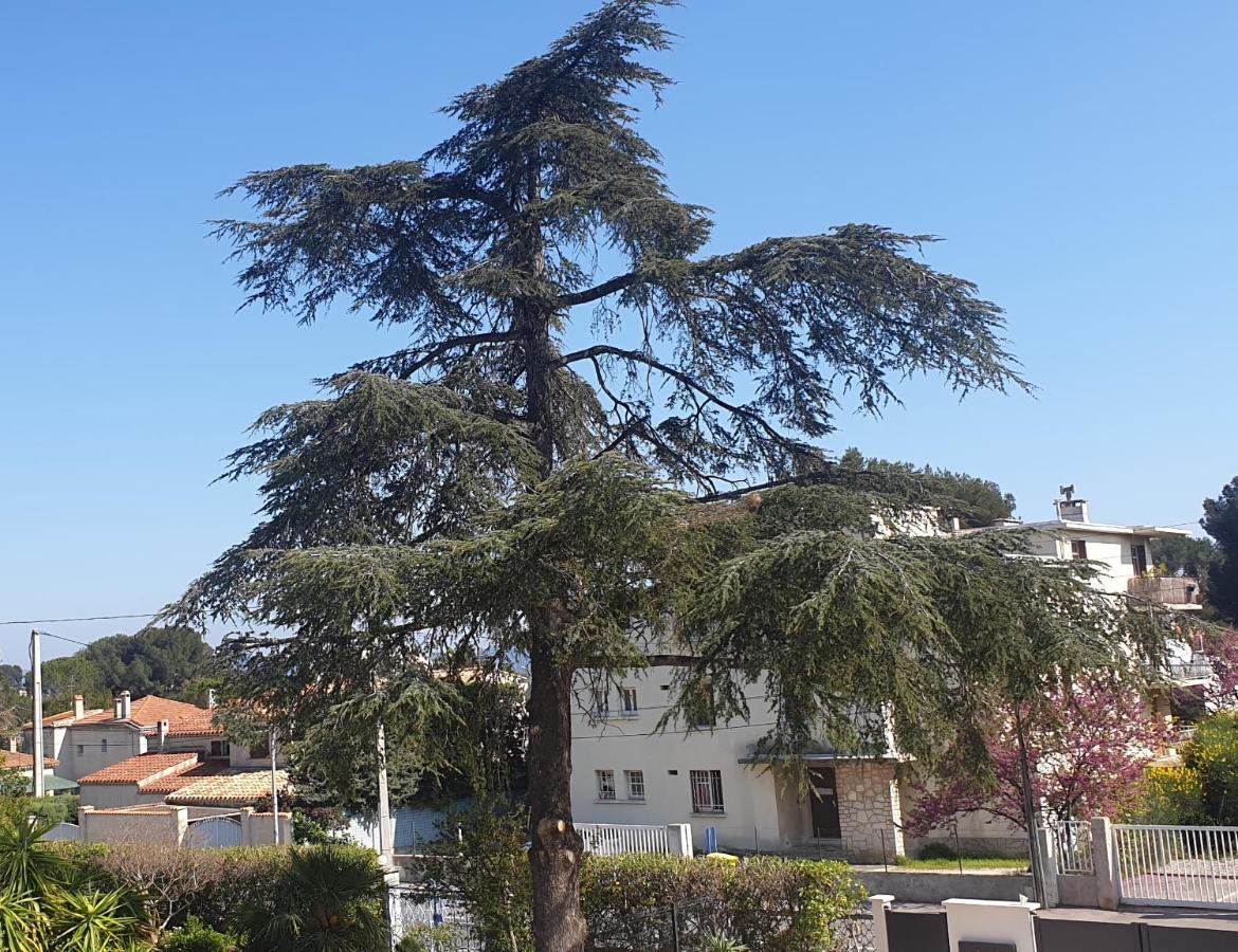 Les Vagues Bleues Apartman La Ciotat Kültér fotó