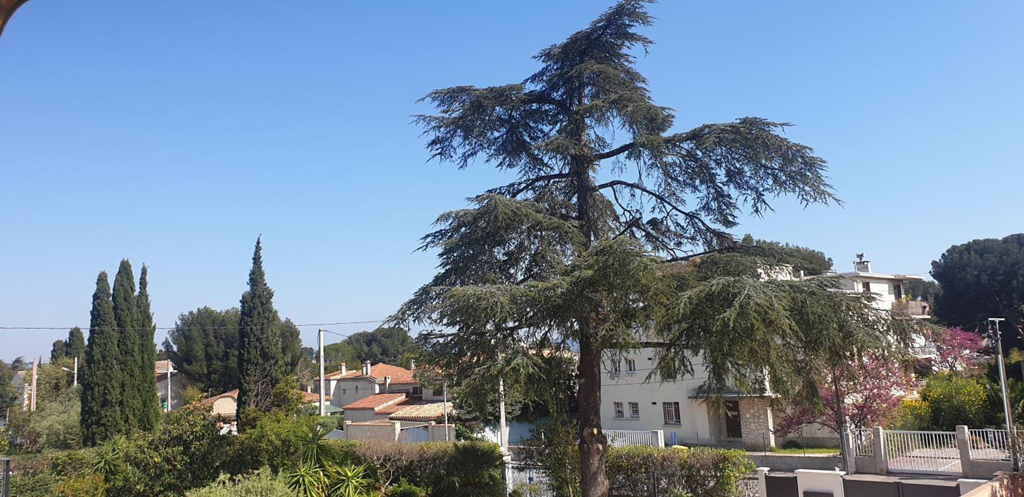 Les Vagues Bleues Apartman La Ciotat Kültér fotó